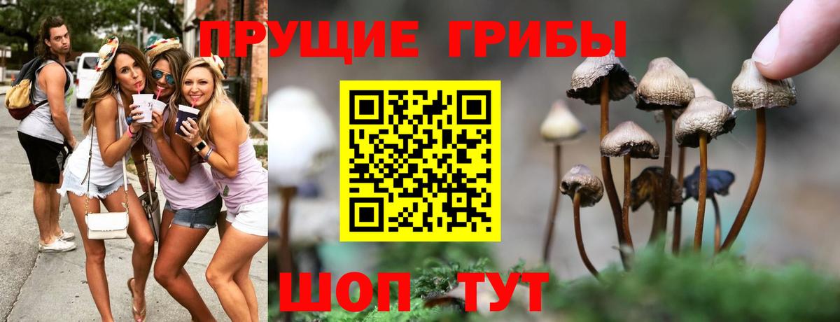 Ставрополь  Псилоцибиновые грибы прущие грибы  Вход с VPN  магазин    Галлюциногенные грибы Cubensis 