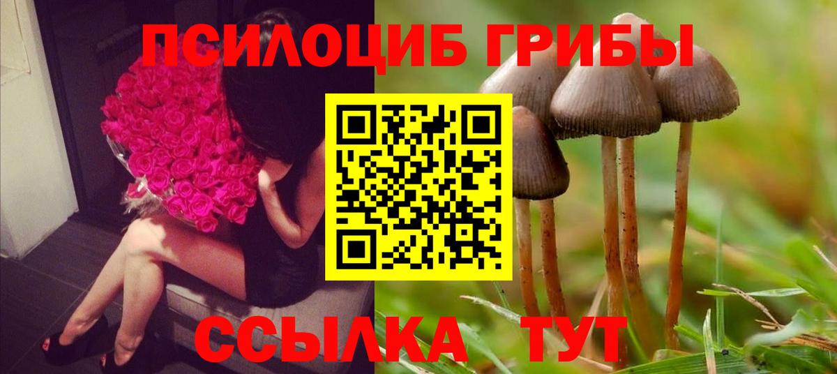 Псилоцибиновые грибы мухоморы Ставрополь